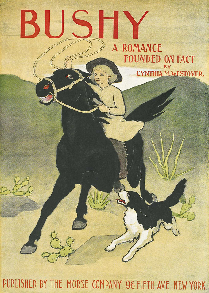 Bushy a Romance