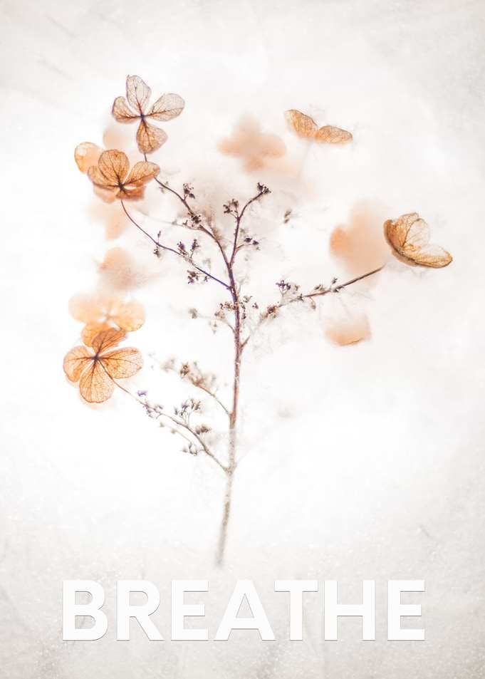 BREATHE FLORAL ART