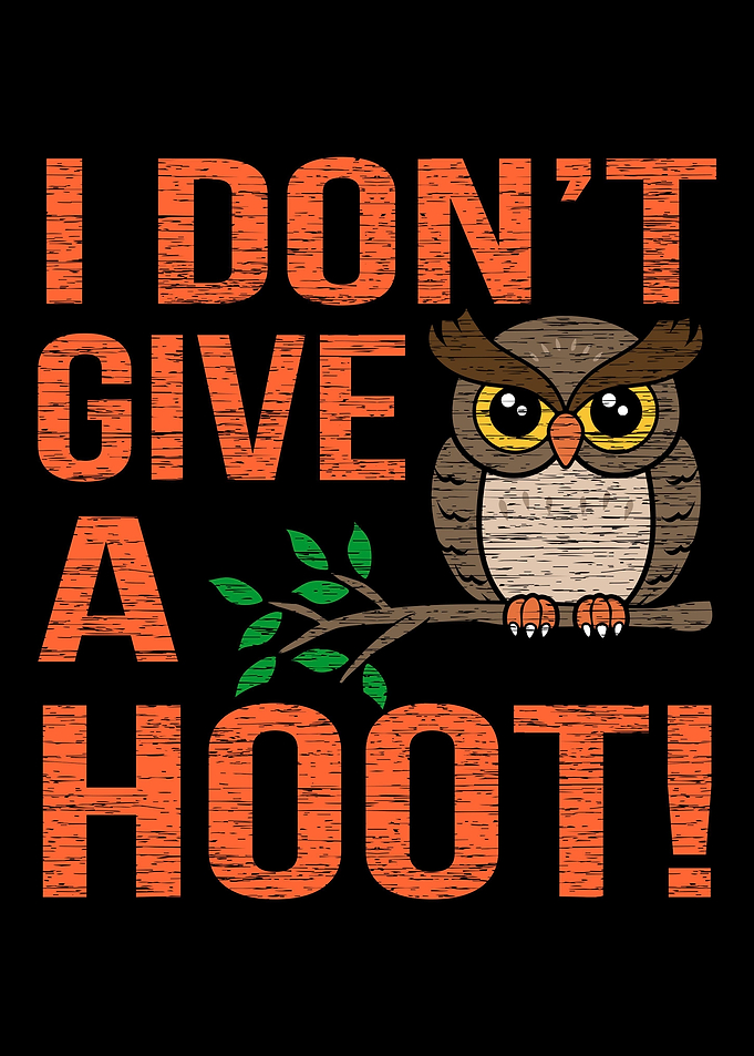 Owl Bird Cute Gift Idea