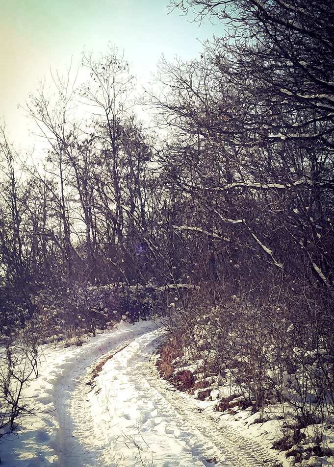 Winter walk