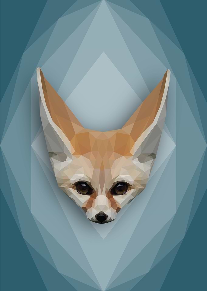 Fabulous Fennec