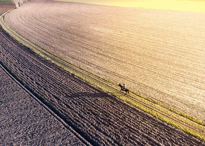 Man on horseback