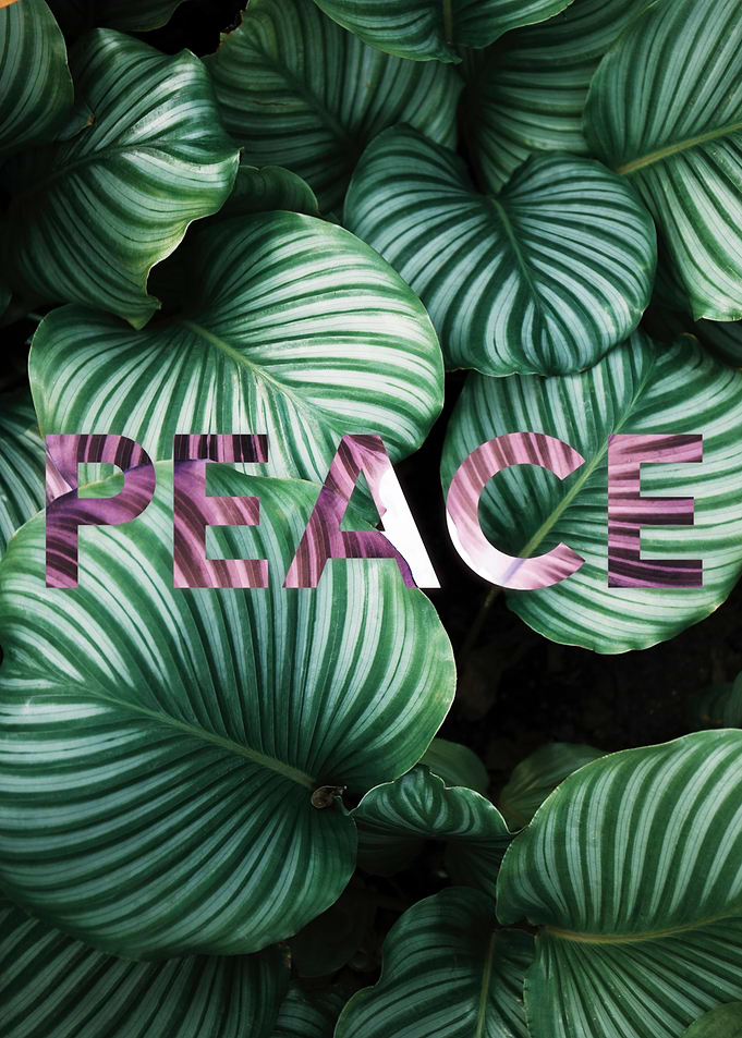 Peace by leaves botanical