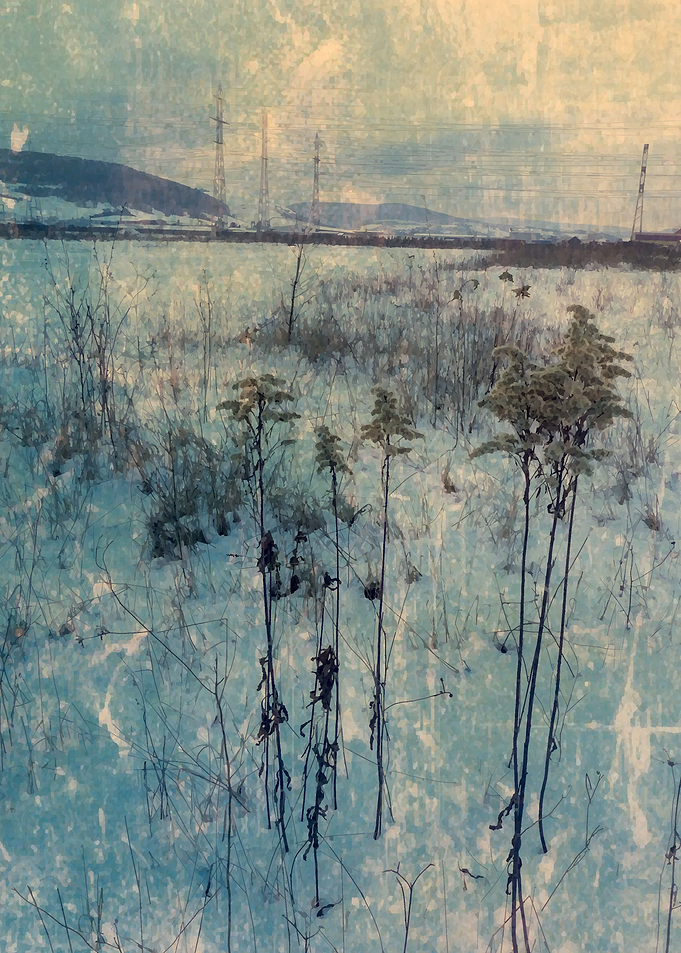 Arctic dream