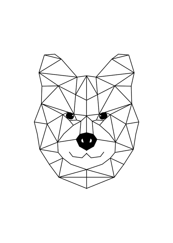 shiba inu