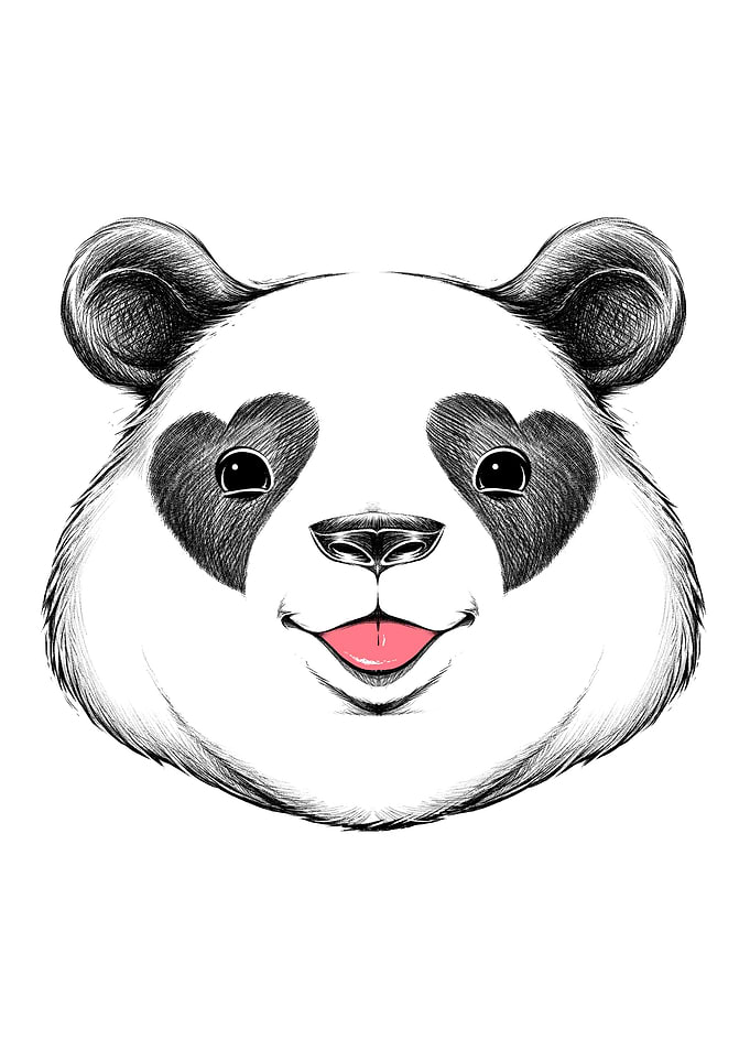 Panda Love