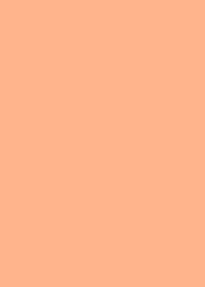 Color 255 180 140