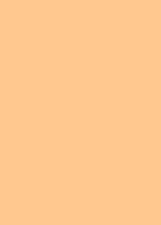 Color 255 200 140