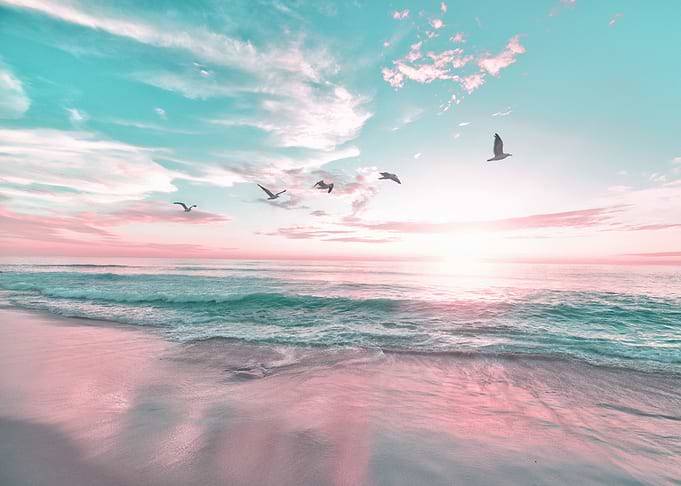 pacific coast