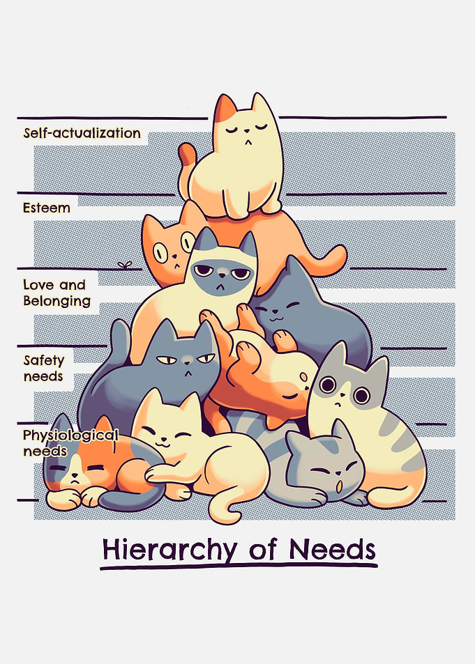 Cats Psychology Theory