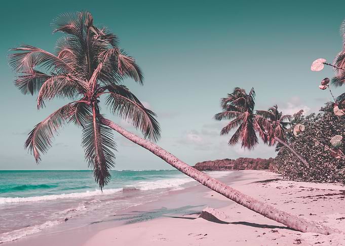 beach