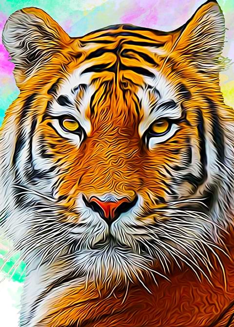 tiger