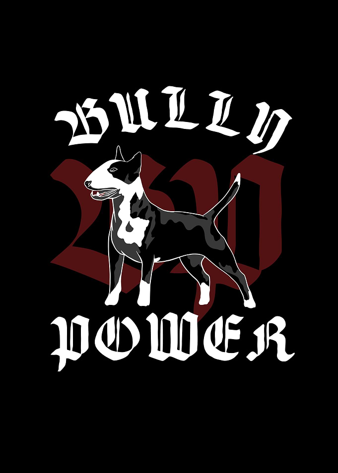 BULLY POWER BULLTERRIER