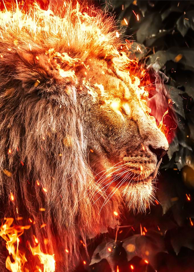 ChampLion