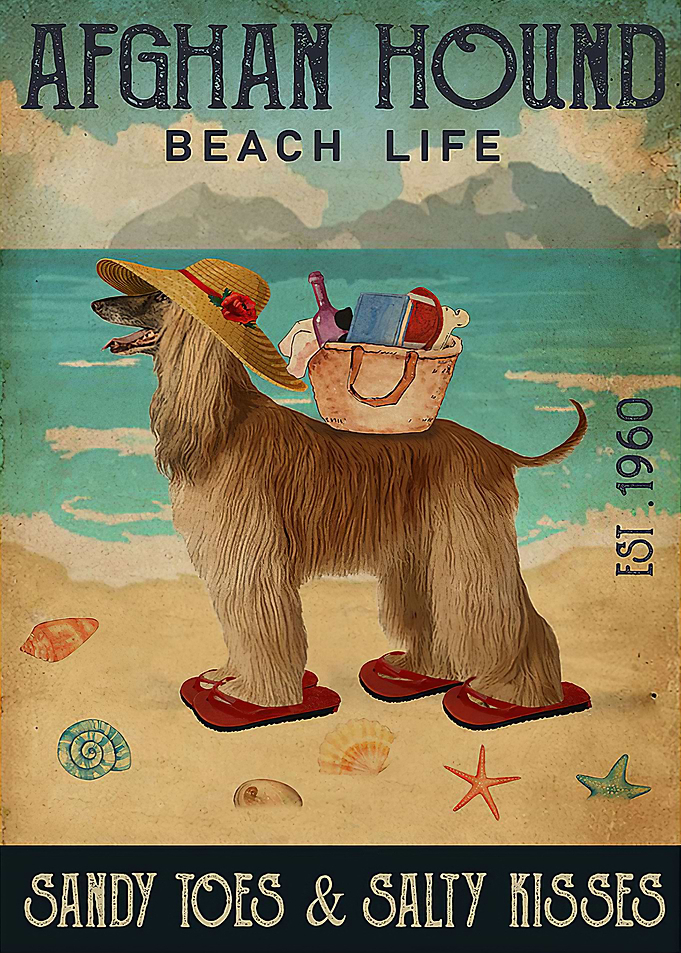 Afghan Hound Dog Beach