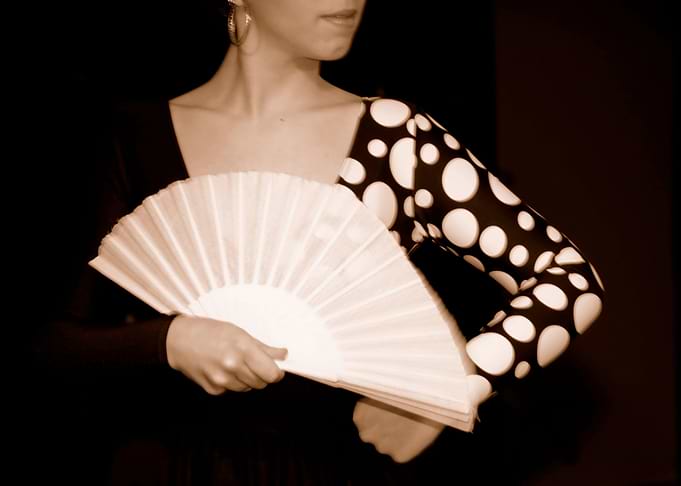 Flamenco Dancer 02