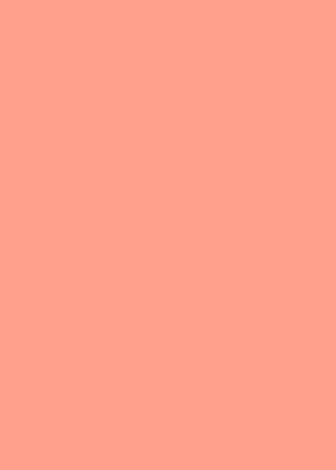 Color 255 160 140