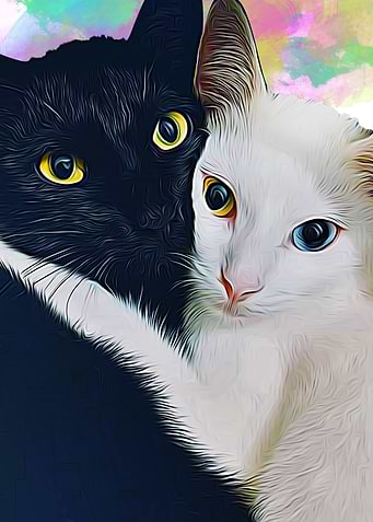 cats