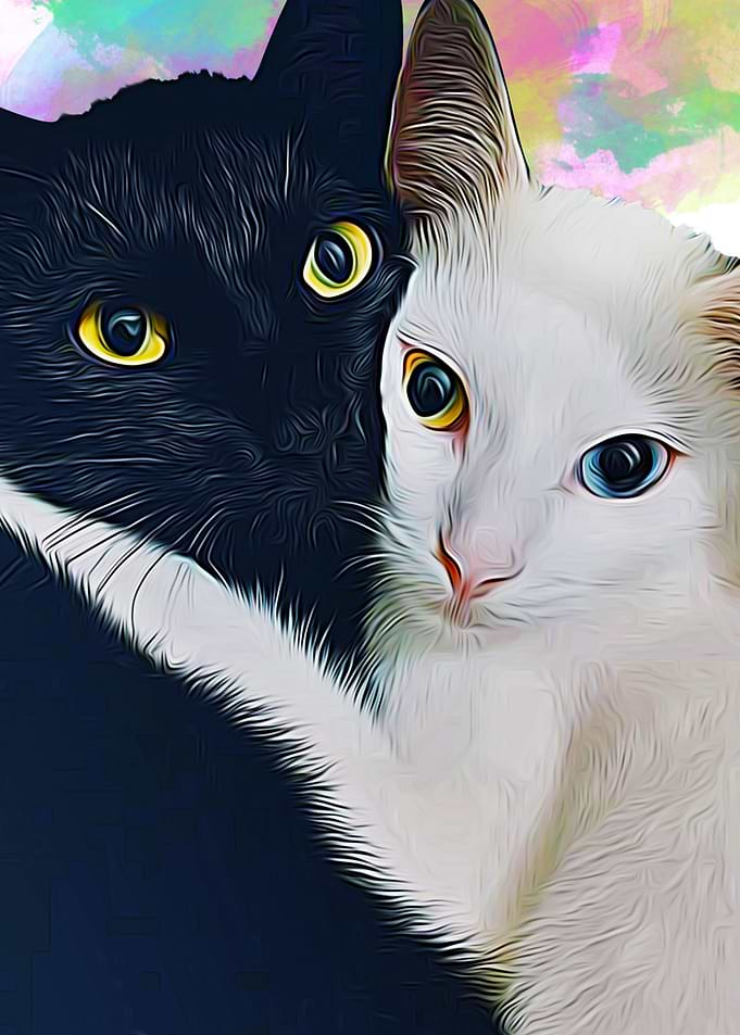 cats