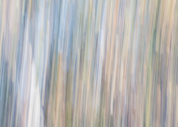 Panning Trees