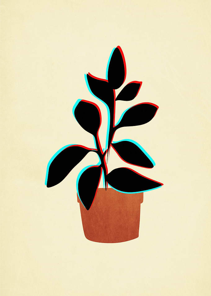 Ask me about my plant