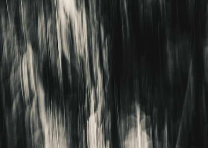 Panning Trees