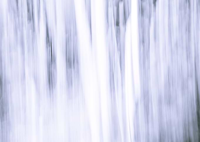 Panning Trees