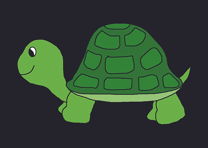 Turtle