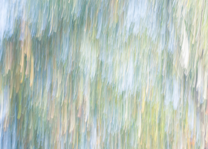 Panning Trees