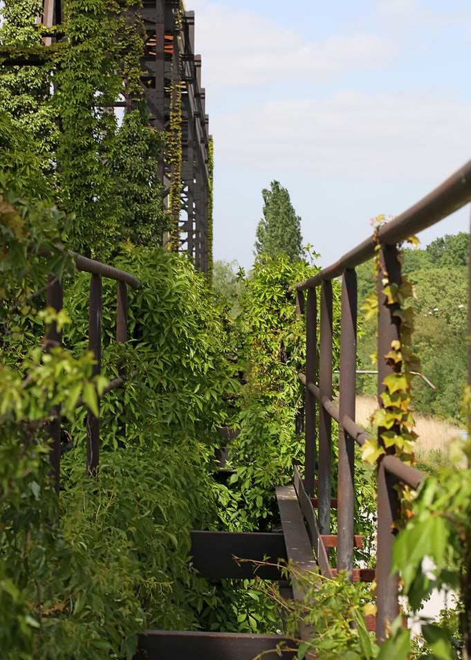 Old factory area Duisburg