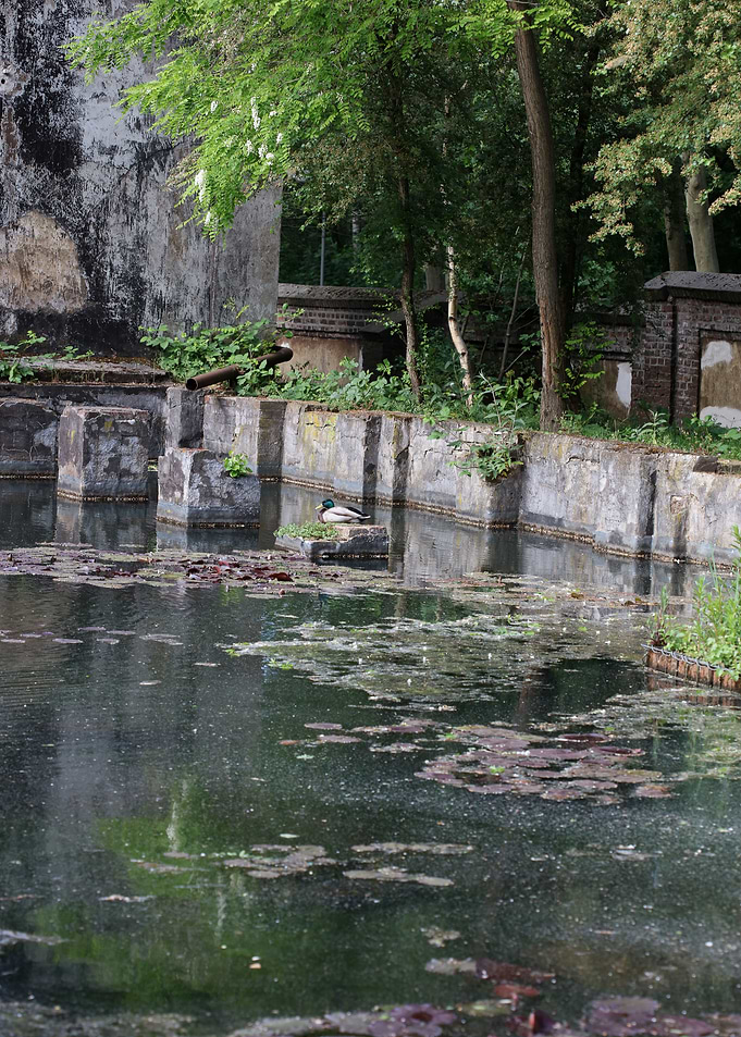 Abandoned old factory area