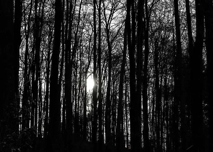 Darkness