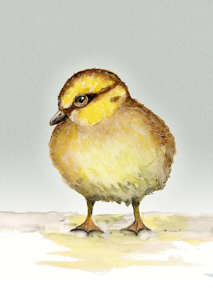 Cute duckling watercolor