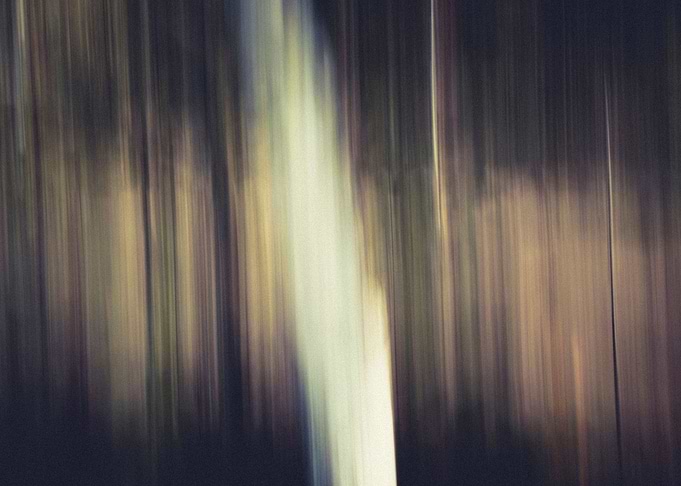 Panning Trees