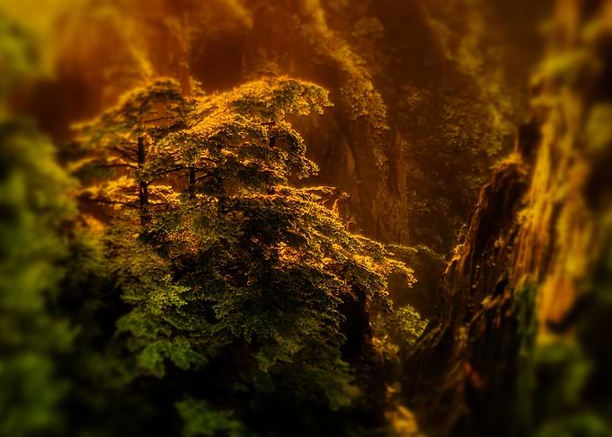 Avatar Mountains
