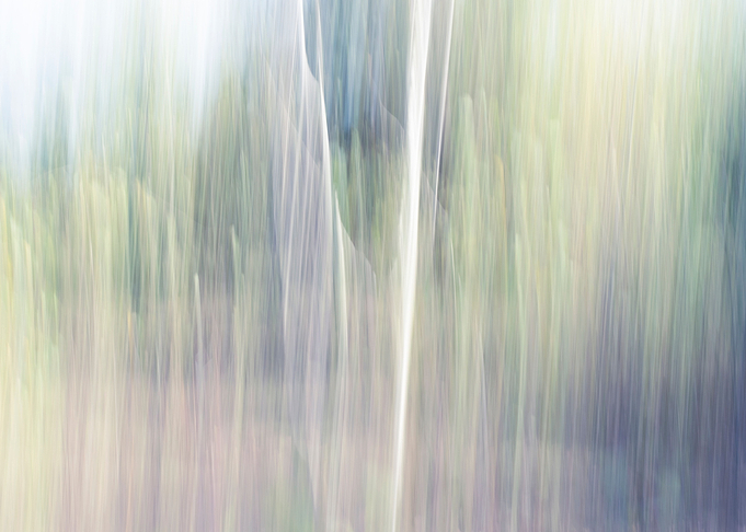 Panning Trees