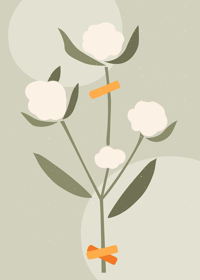 Cotton With Leaves