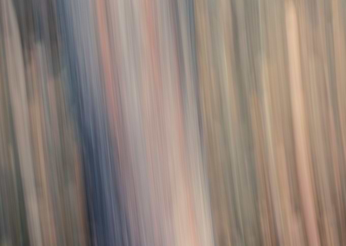 Panning Trees