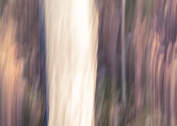 Panning Trees
