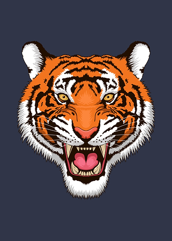 Cool Tiger