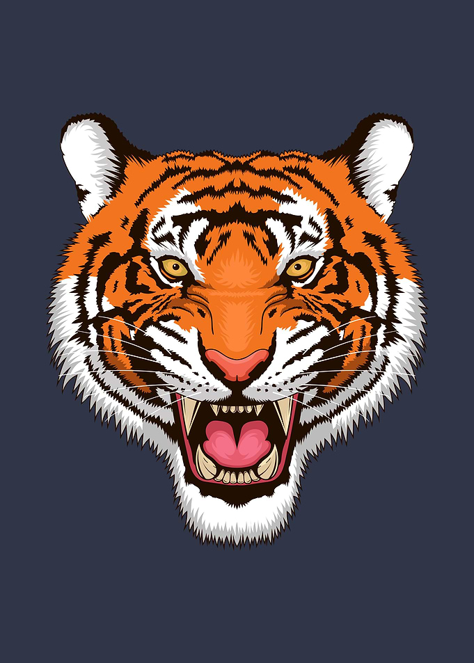 Cool Tiger