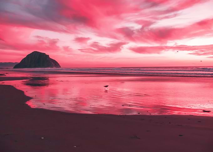 sunset nature
