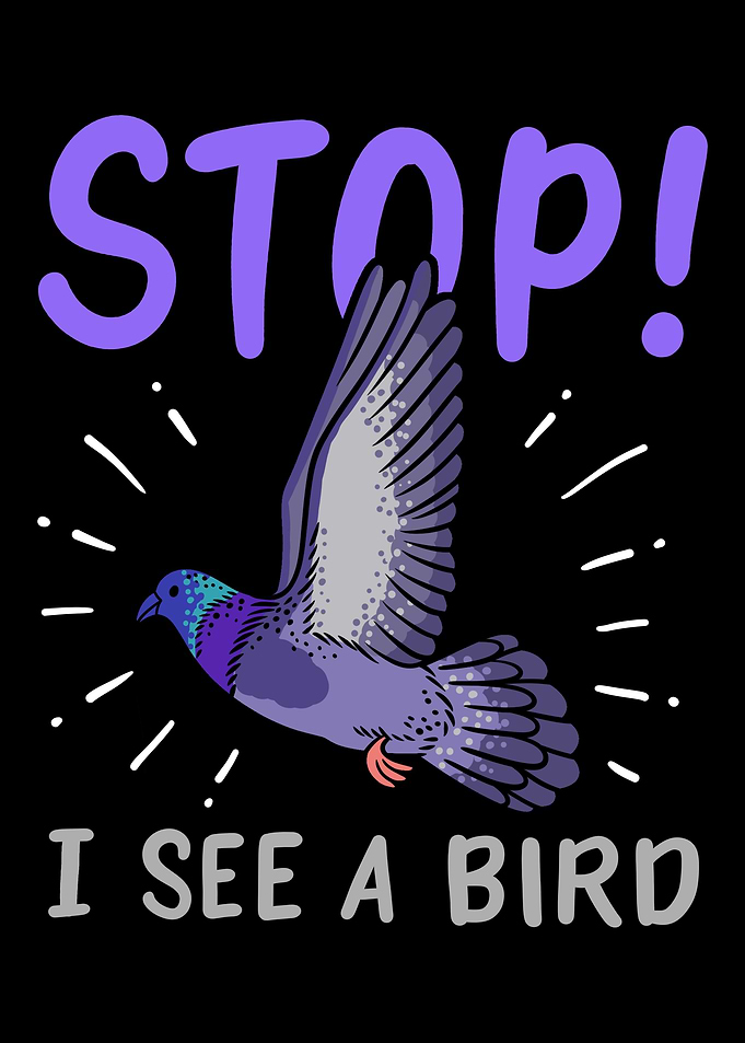 Birds Birdwatcher Ornithol