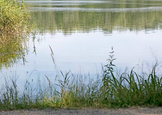 Brombachsee zeltwiese area