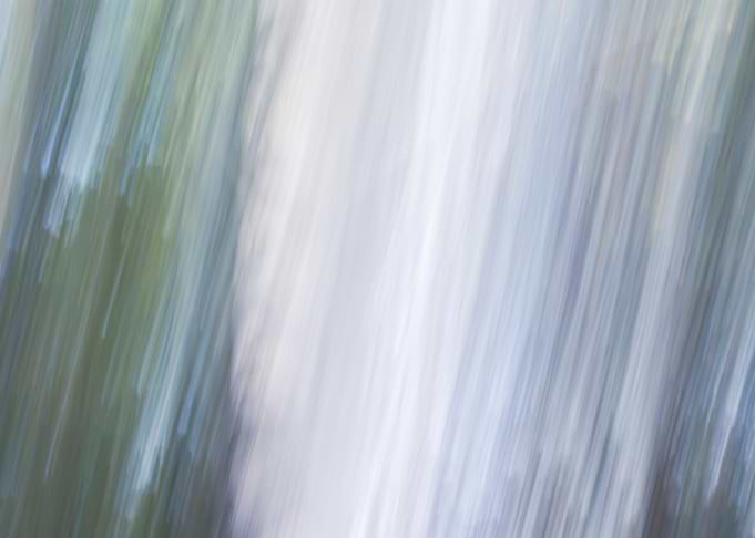 Panning Trees