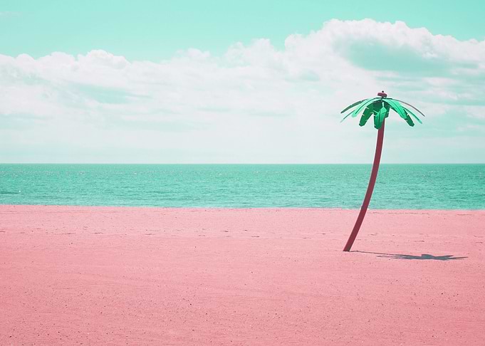 palm
