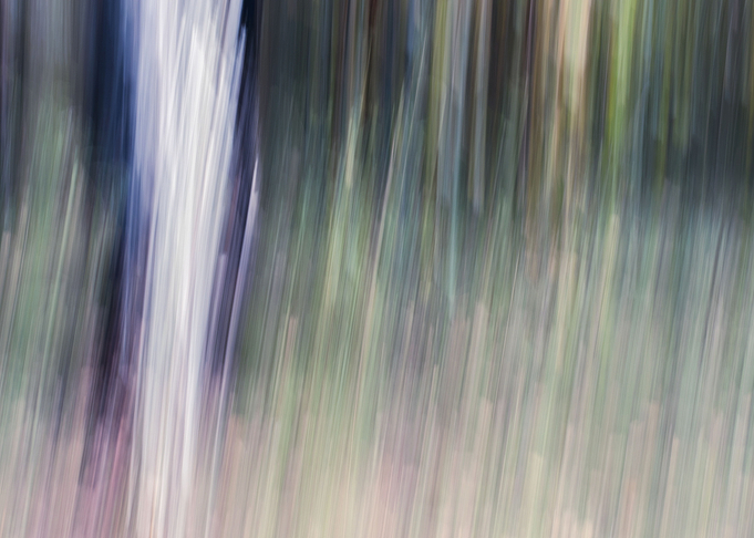 Panning Trees