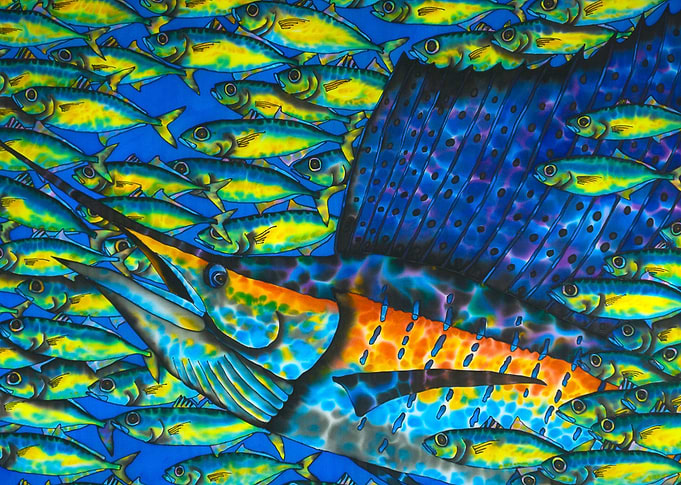 Caribbean Sailfish