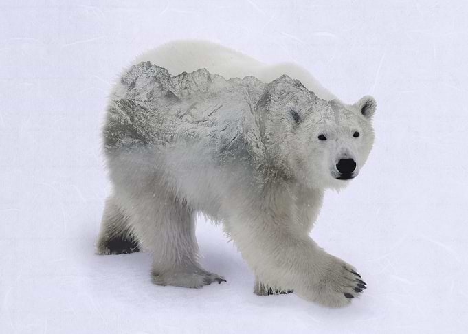 Polar Bear and Mountains