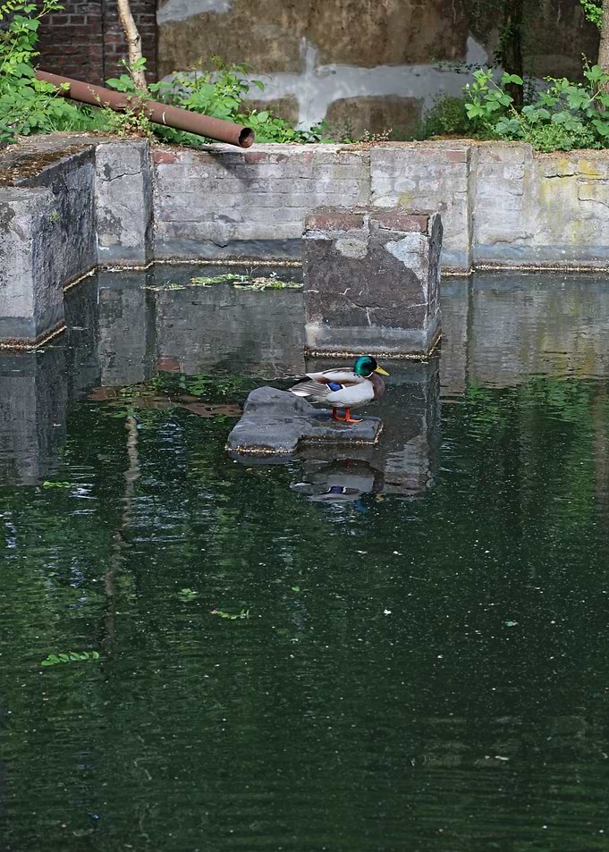 Abandoned old factory area